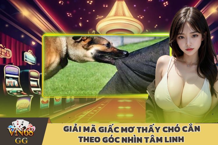 Giải Mã Giấc Mơ Thấy Chó Cắn Theo Góc Nhìn Tâm Linh